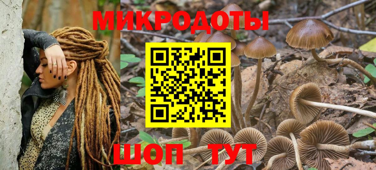 Псилоцибиновые грибы мицелий  Вход с VPN  Галлюциногенные грибы Psilocybine cubensis  Унеча 