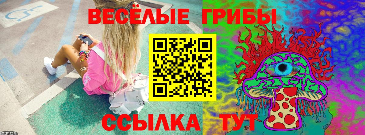 Канабис  Унеча  Кокаин  Меф кристаллы  A-PVP СК   Экстази  Вход с VPN  ГАШИШ 